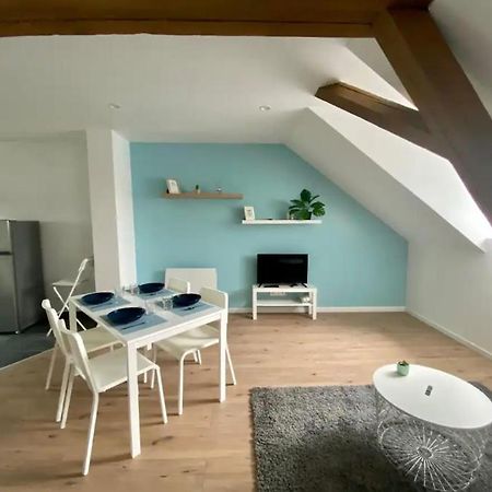 Studio Cosy Comme A La Maison Мюлуз Экстерьер фото